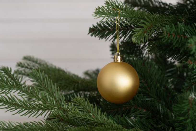 Kalėdų eglutė Winteria Elite, 180 cm aprašymas - Prekės nuotrauka