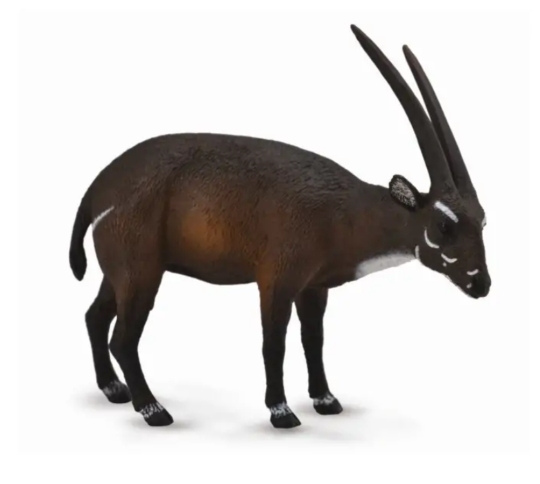 Collecta Figūrėlė - Saola aprašymas - Prekės nuotrauka