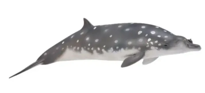 Collecta Figūrėlė - Blenvilio dvidantis aprašymas - Prekės nuotrauka