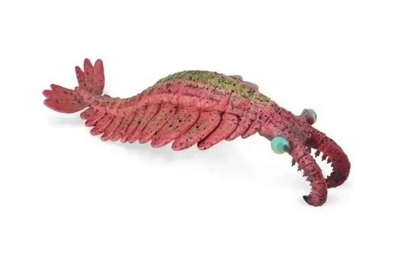 Collecta Figūrėlė - Anomalocaris aprašymas - Prekės nuotrauka