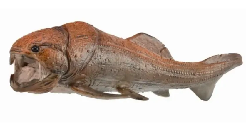 Collecta Figūrėlė - 