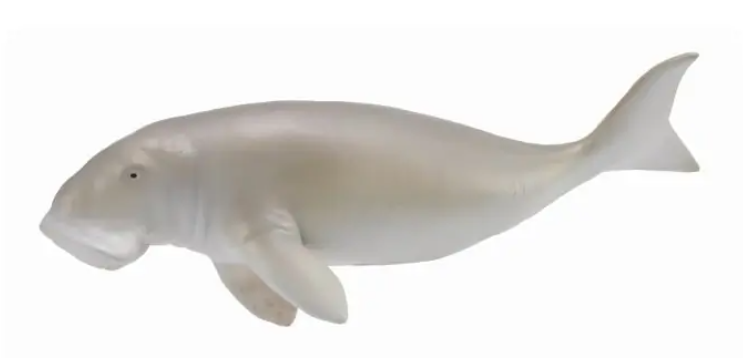 Collecta Figūrėlė - Diugonis aprašymas - Prekės nuotrauka