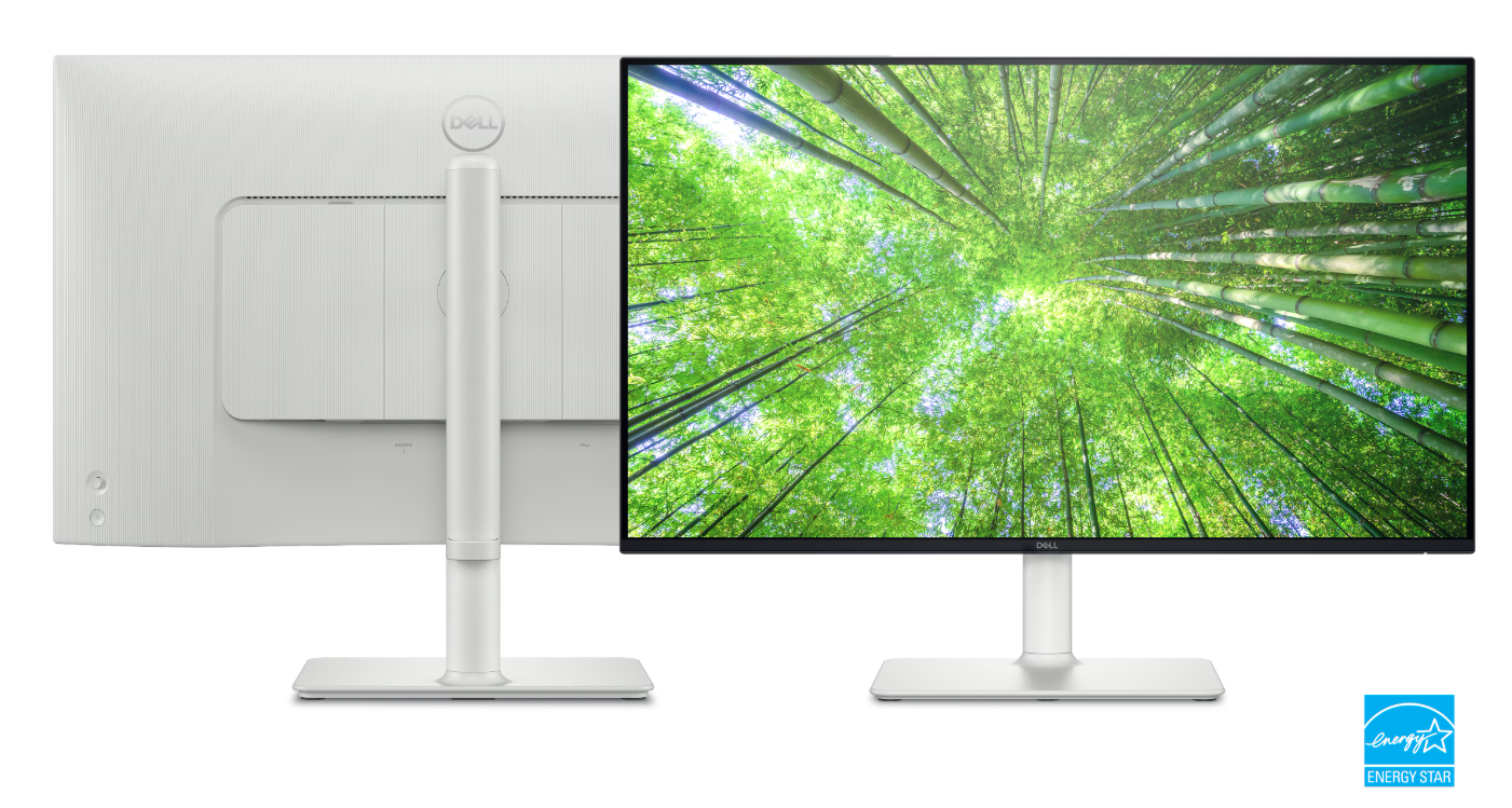 Monitorius Dell S2725HS/68.60 cm (27.0”)/IPS/ FHD/16:9/100 Hz/300 cd/m2/Tilt/Swivel/Pivot/Integrated 2 x 5W speakers aprašymas - Prekės nuotrauka