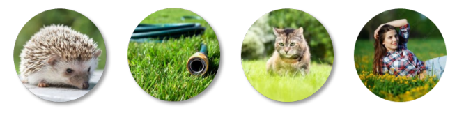 Belaidis vejos pjovimo robotas Ecovacs GOAT 0500 Panorama aprašymas - Prekės nuotrauka