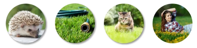 Belaidis vejos pjovimo robotas Ecovacs GOAT 0500 Panorama aprašymas - Prekės nuotrauka