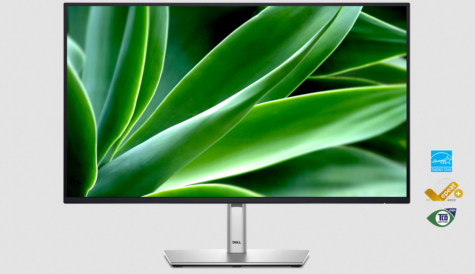 Monitorius Dell P2725H 27