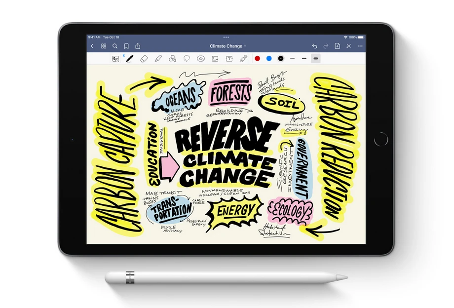 Skaitmeninis valdymo pieštukas Apple Pencil (1-osios kartos) aprašymas - Prekės nuotrauka
