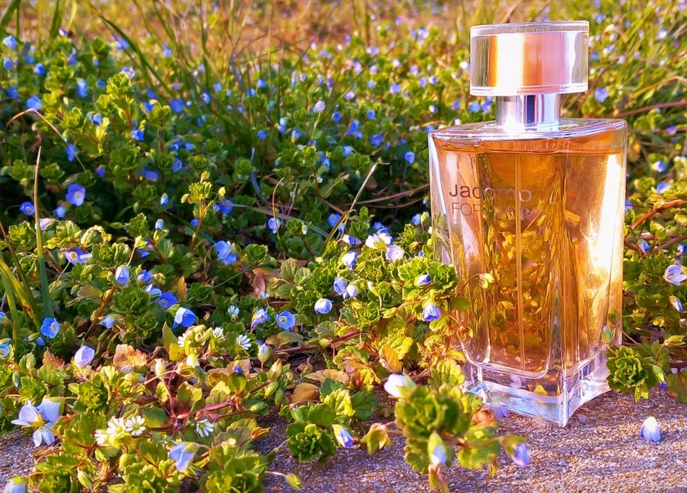 Kvepalai moterims Jacomo For Her, EDP 100 ml aprašymas - Prekės nuotrauka