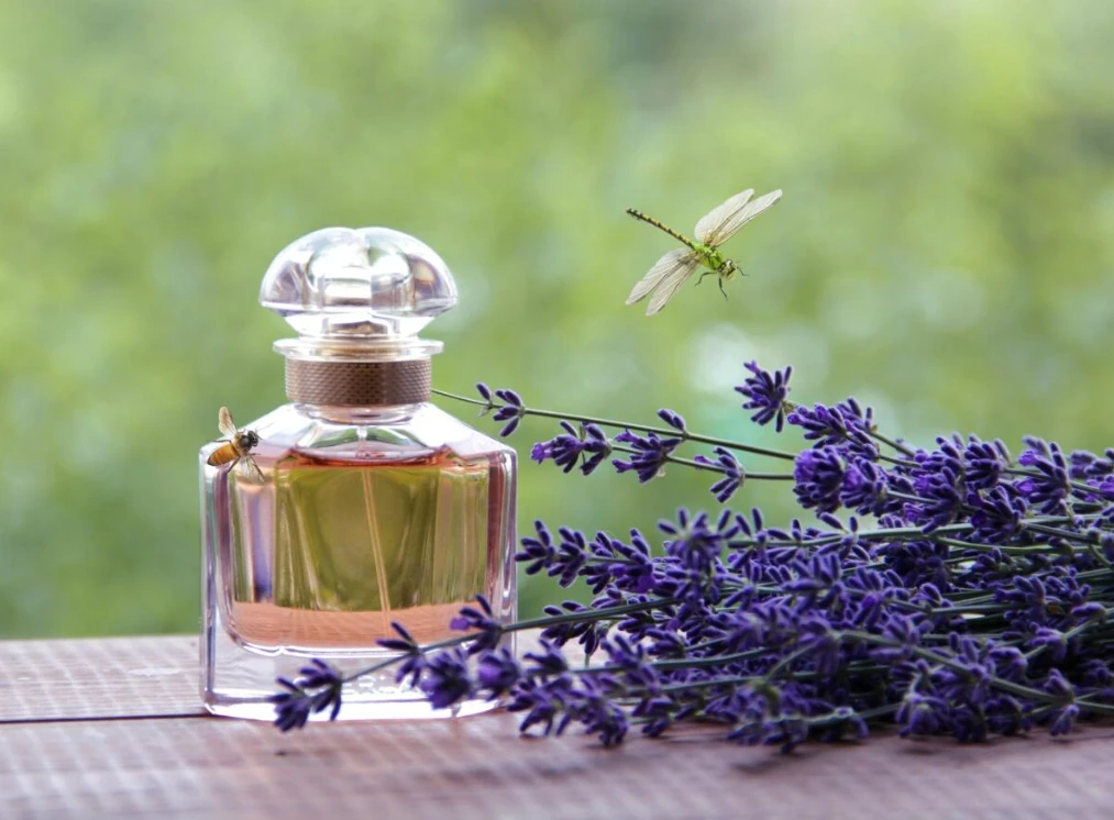 Kvepalai moterims Guerlain Mon Guerlain EDP, 100 ml aprašymas - Prekės nuotrauka