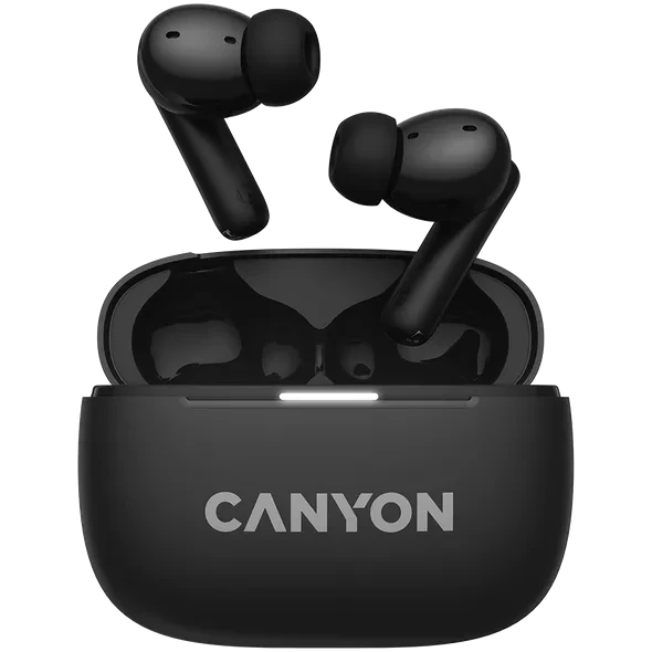 Ausinės Canyon OnGo ANC TWS-10, Juodos aprašymas - Prekės nuotrauka