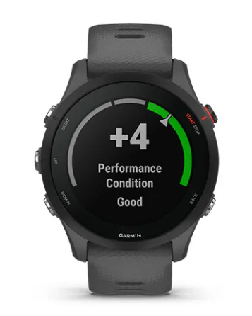 Išmanusis laikrodis Garmin Forerunner 255, Skalūnų  pilkos spalvos aprašymas - Prekės nuotrauka