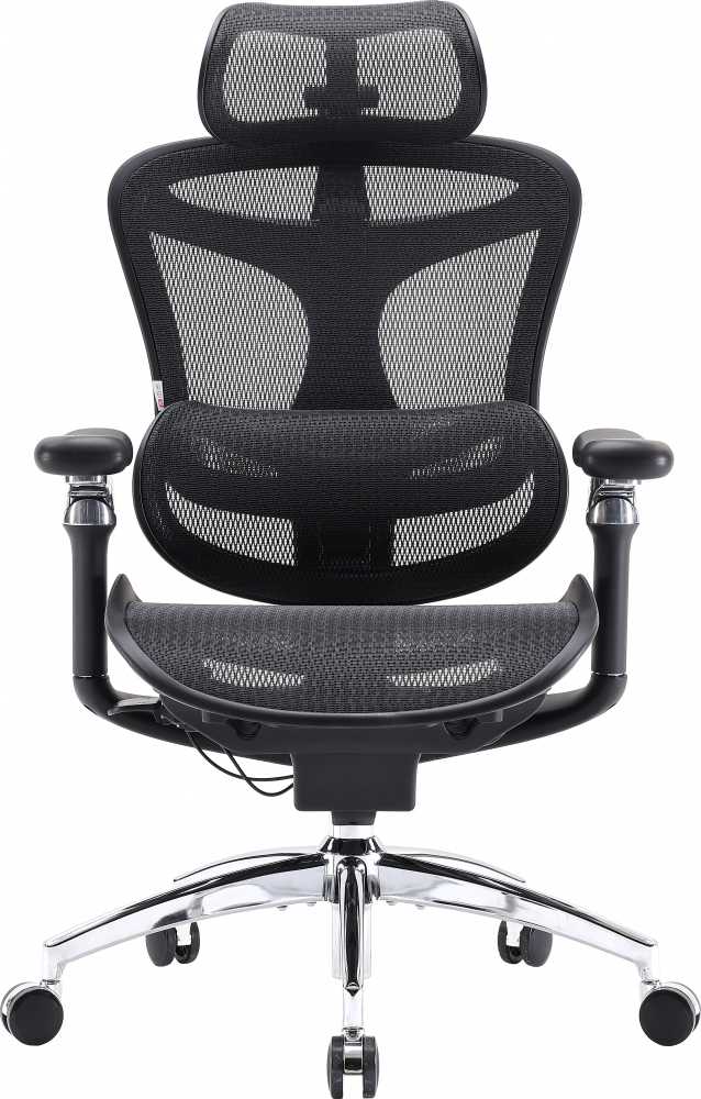 Biuro kėdė Sihoo DORO C300 Pro Mesh, Juoda aprašymas - Prekės nuotrauka