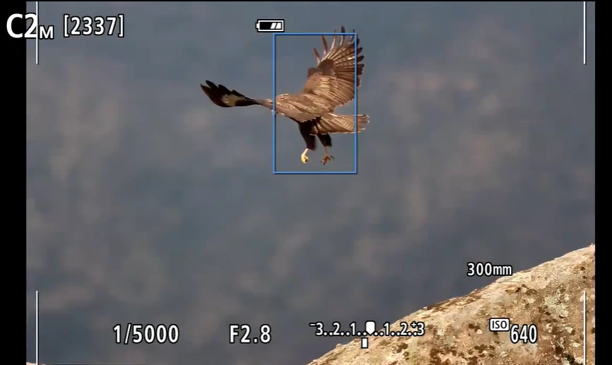 Canon EOS R7 fotoaparatas su RF-S 18–150 mm F3.5–6.3 IS STM objektyvu aprašymas - Prekės nuotrauka