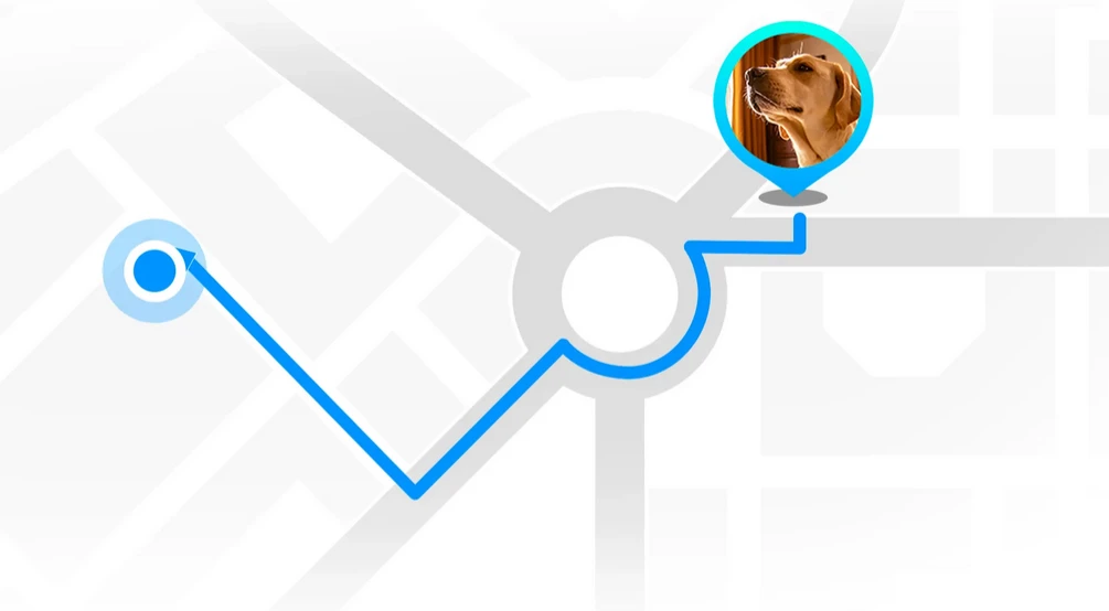 GPS sekimo pakabukas naminiams gyvūnams Enabot ROLA PetTracker, Geltonas, SIM pridėta aprašymas - Prekės nuotrauka
