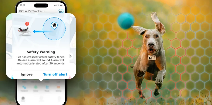 GPS sekimo pakabukas naminiams gyvūnams Enabot ROLA PetTracker, Geltonas, SIM pridėta aprašymas - Prekės nuotrauka