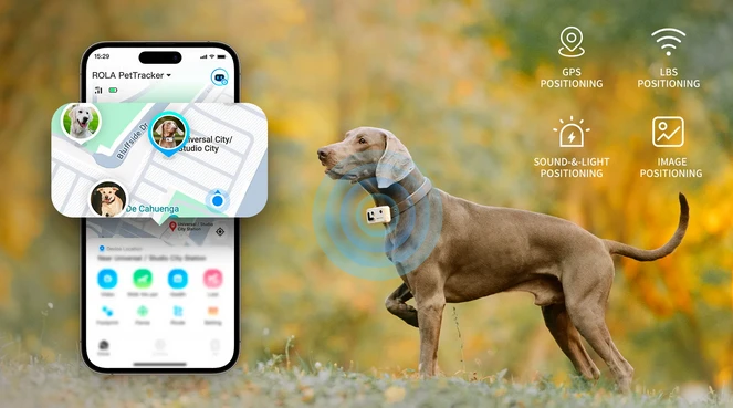 GPS sekimo pakabukas naminiams gyvūnams Enabot ROLA PetTracker, Geltonas, SIM pridėta aprašymas - Prekės nuotrauka