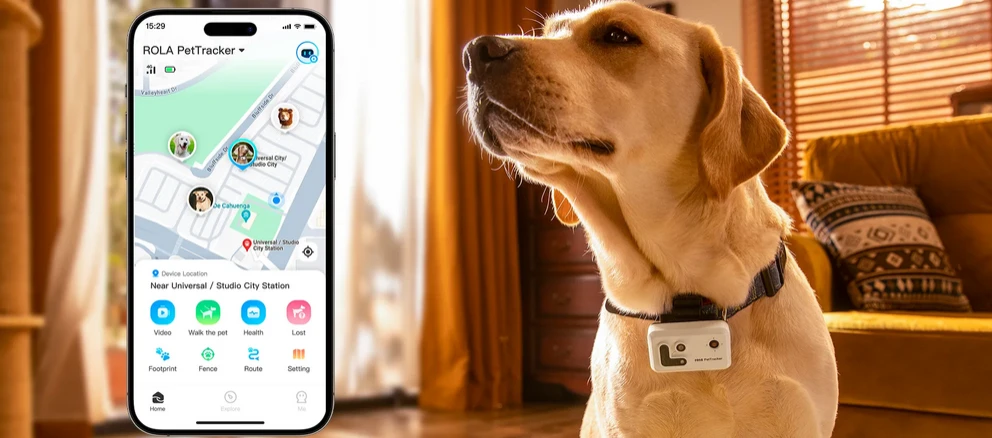 GPS sekimo pakabukas naminiams gyvūnams Enabot ROLA PetTracker, Geltonas, SIM pridėta aprašymas - Prekės nuotrauka