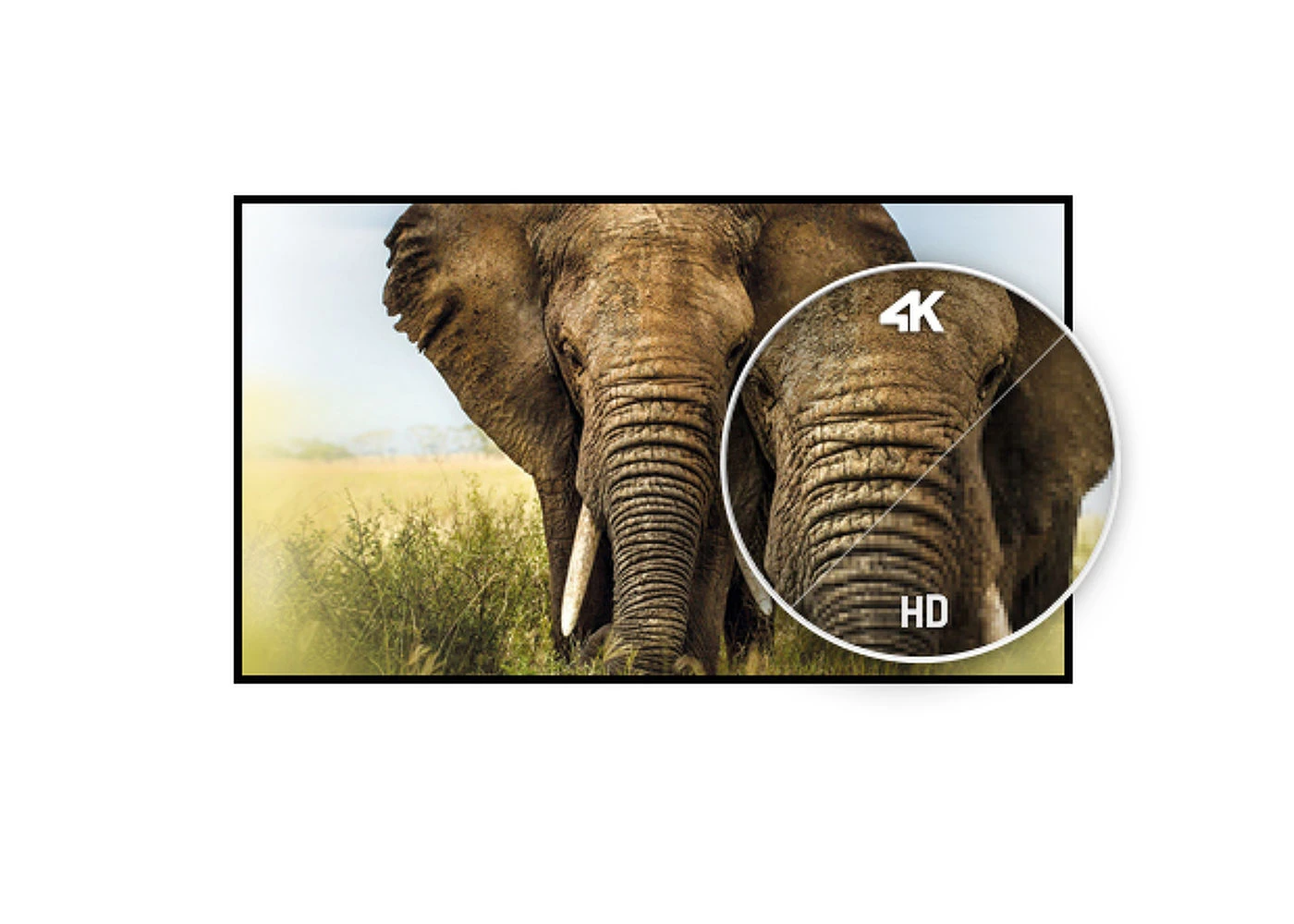 Monitorius IIYAMA LH6541UHS-B1AG | 65