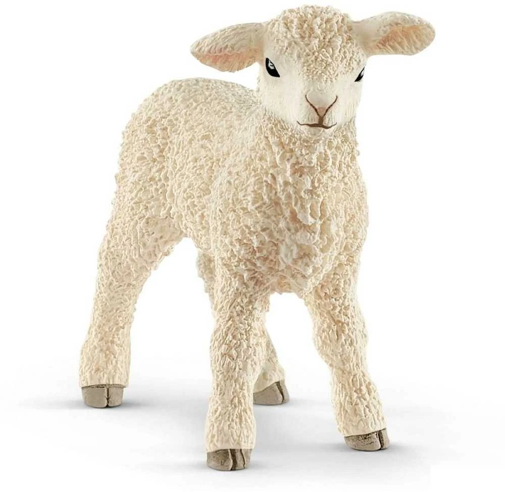 Schleich figūrėlė Ėriukas aprašymas - Prekės nuotrauka
