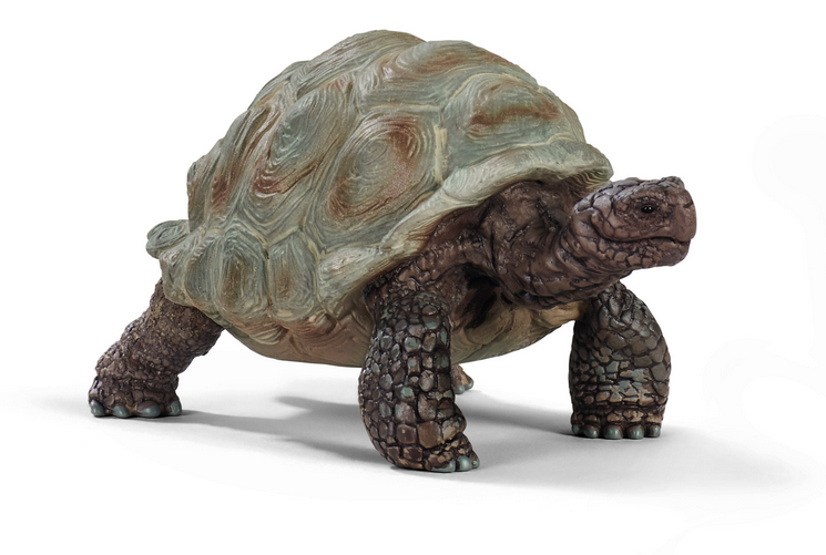 Schleich figūrėlė Galapagų vėžlys aprašymas - Prekės nuotrauka