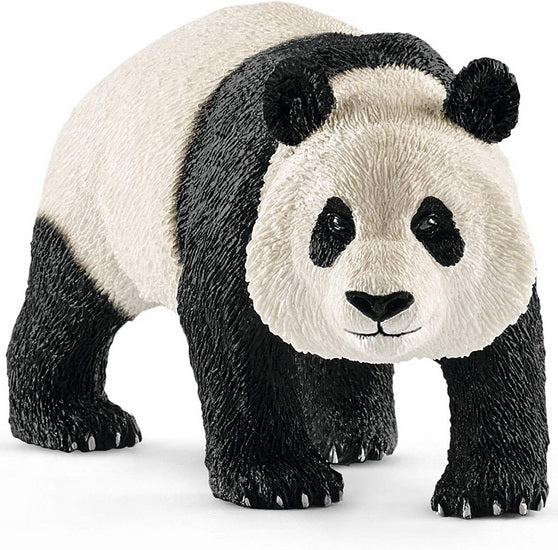 Schleich figūrėlė Pandos patinas aprašymas - Prekės nuotrauka