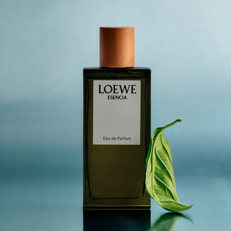 Kvepalai vyrams Loewe Esencia EDP, 50 ml aprašymas - Prekės nuotrauka