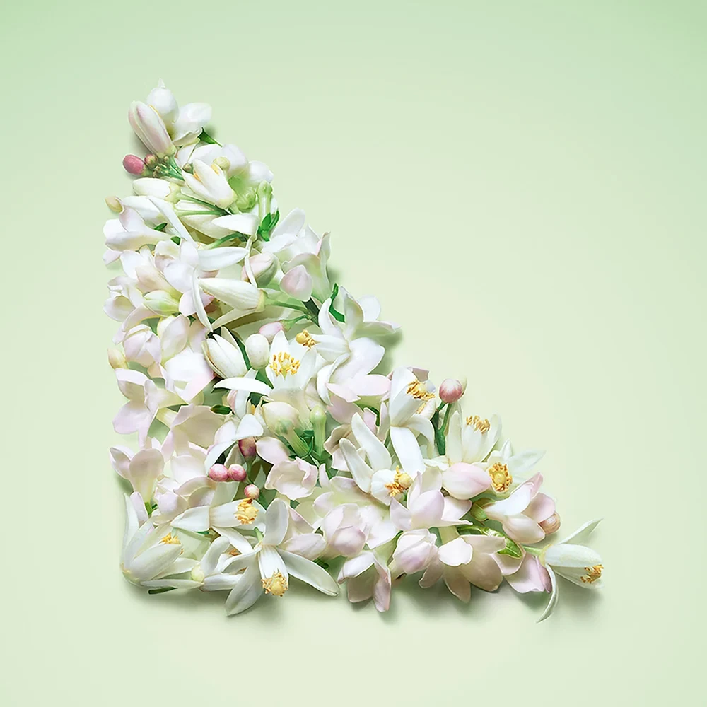 Kvepalų moterims papildymas Prada Paradoxe Virtual Flower EDP, 100 ml aprašymas - Prekės nuotrauka
