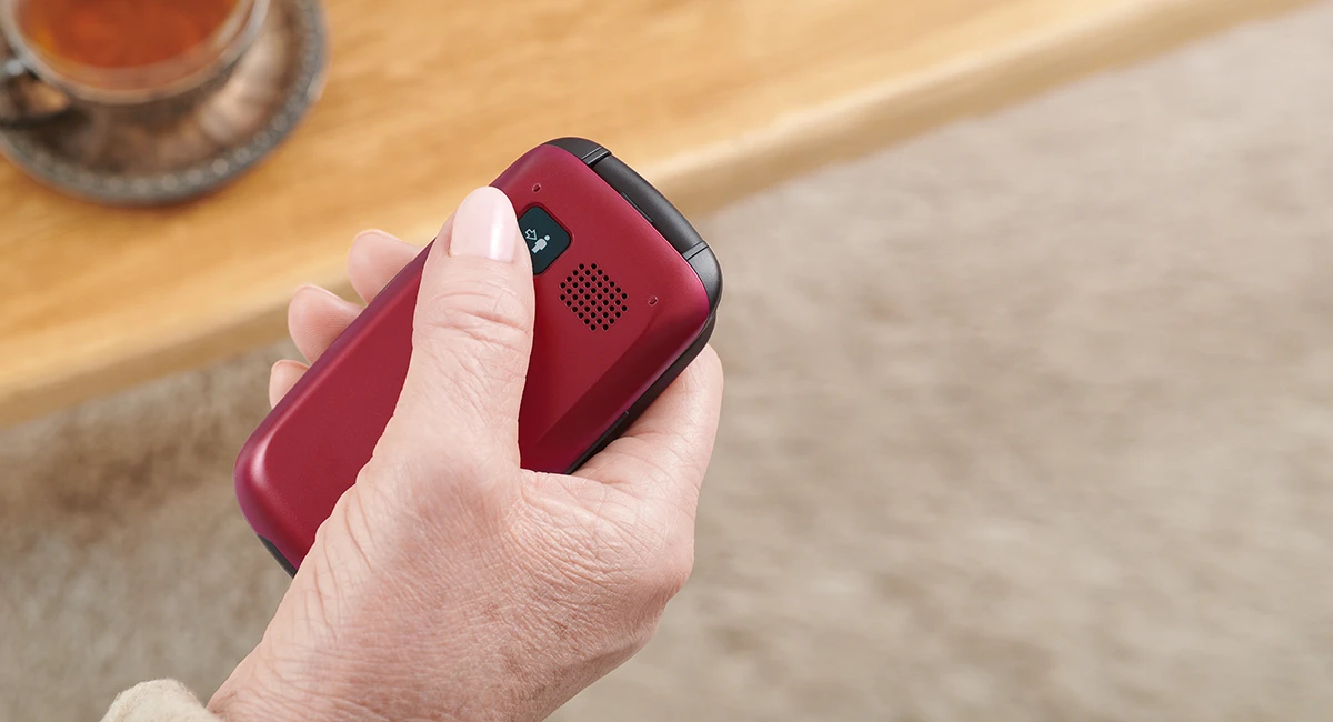 Mobilusis telefonas Panasonic KX-TU446EXB, pilkos spalvos aprašymas - Prekės nuotrauka