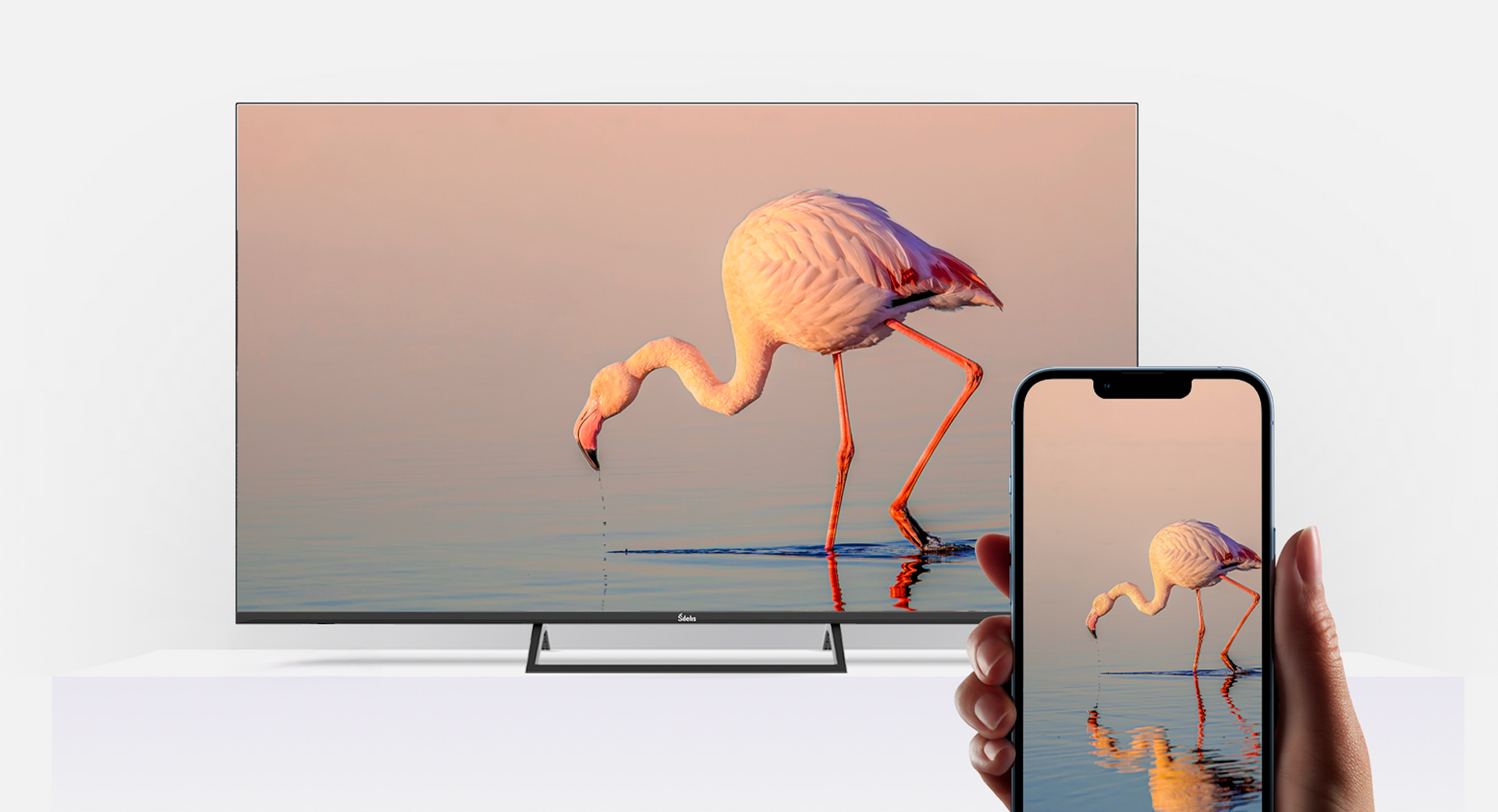 Televizorius Šilelis TV-43 QLED (~109 cm) aprašymas - Prekės nuotrauka